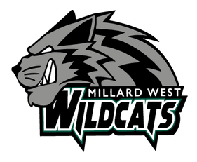 Wildcat