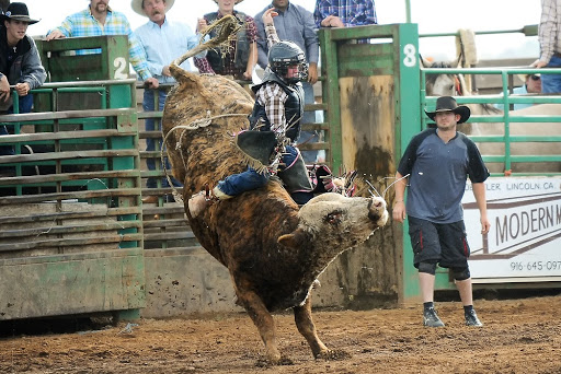 Life of a Rodeo Cowboy