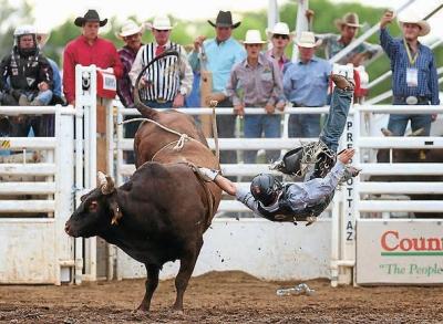 Field Report from a Professional Bull Riding Competition: Lots of Cute  Cowboys!