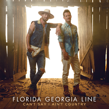 The Cant Say I Aint Country album cover features members Tyler Hubbard and Brian Kelly standing in a barn like structure.