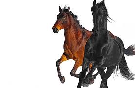 Cover art for Lil Nas Xs Old Town Road Remix