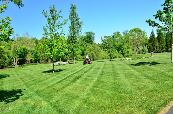 Junior Ryan Kocovsky started his own lawn care business over the summer to earn a little extra cash.
