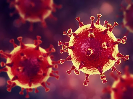 A 3D illustration of Middle East respiratory syndrome coronavirus - MERS-CoV - which shares the same family as the novel coronavirus.
