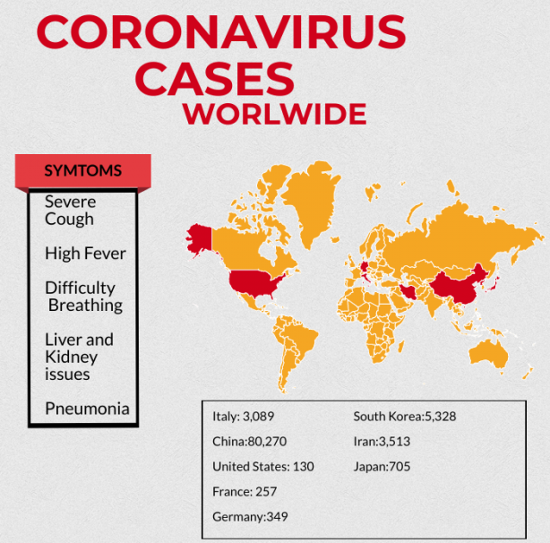 This graphic shows the countries with an abundant amount of reported cases of the virus. 