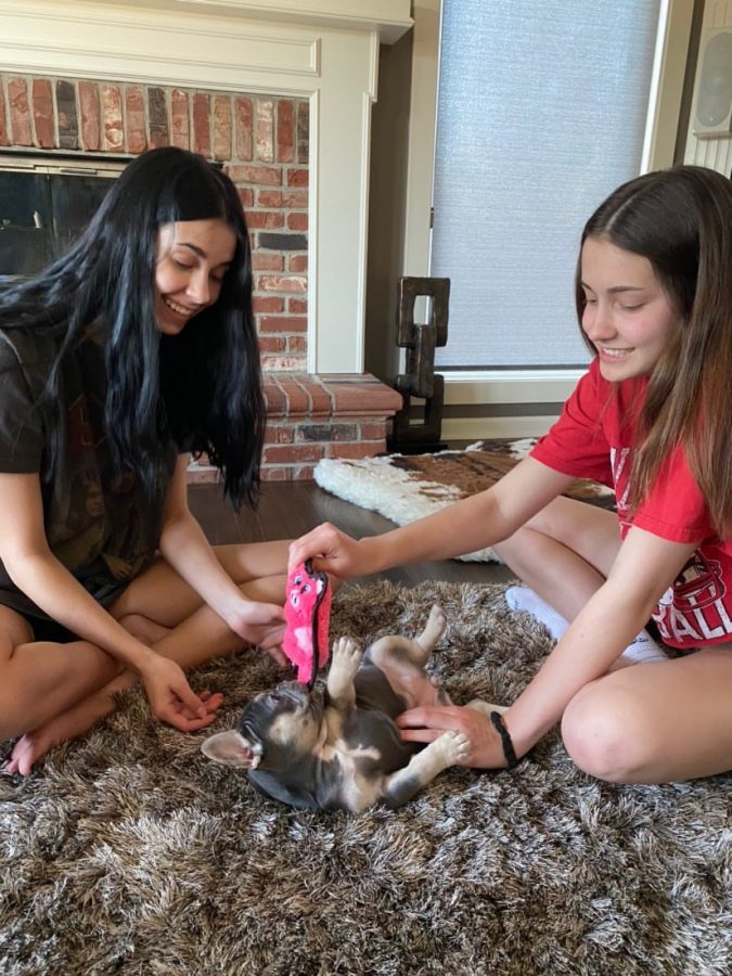 Junior Molly Jenkin and freshman sister Riley Jenkin play with their new puppy Bentley. “She is super bubbly and energetic, so she gives us something to do,” Molly Jenkin said. “She is also quite ornery, so it’s never boring around here.”