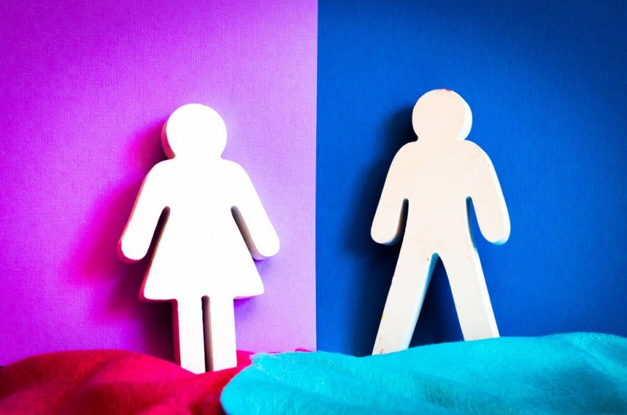 Contrary to popular belief, sex and gender are two very different things. While there is a certain number of sexes, there are more genders to put a number on. Gender is what you identify as which can differ from what your sex is. 
