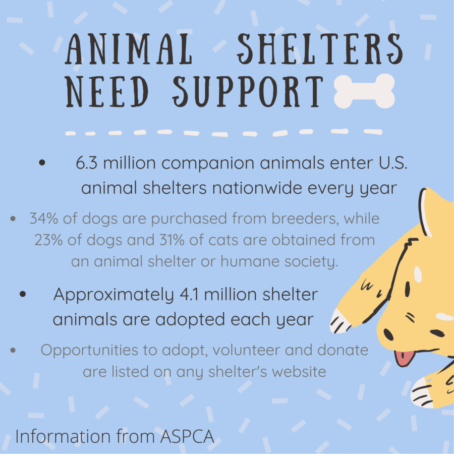Information regarding shelters are found on their website. They offer animals for adoption and donation and volunteering resources. 