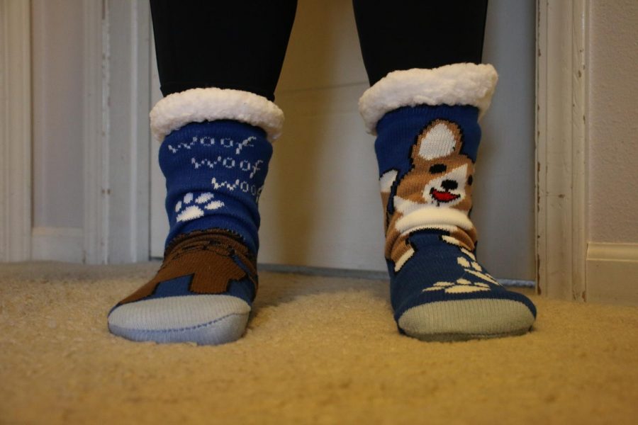 From home, junior Sidney Bahensky participates in holiday sock day with some festive pups.