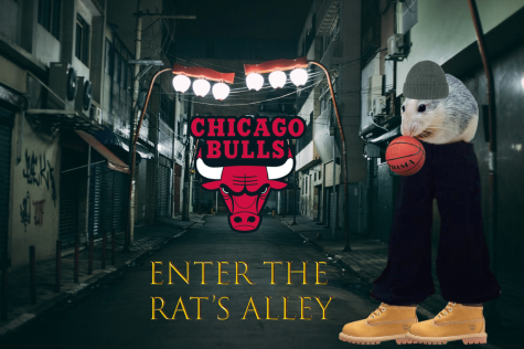 Rats Story: Episode 3 - Chicago Bulls