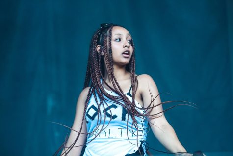 21-year-old artist PinkPantheress performing her new EP at Lollapalooza