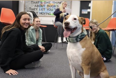 Students in either groups of five or four gathered in the libraries production rooms in order to hang out with their furry friend. “I loved the dog that we had,” junior Lauren Jones said. “She was so well trained and made the experience so calming and comfortable. She even knew a few tricks, like high fives and handshakes, which made it even more fun.” 