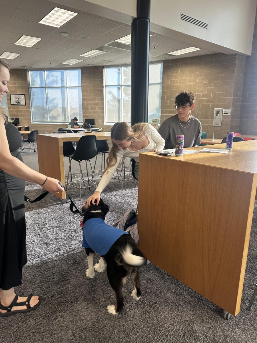 Sharing a quiet connection, Nova brightens the library with every gentle touch. Her dedicated handler, librarian Mrs. Gehrke guides her through her visits helping students de-stress during the school year. “ I just want to make sure that students feel safe at school and I know that Nova can ensure everyone feels that way,” Gehrke said. “Nova's gentle presence makes the library a sanctuary of peace for everyone who visits.” 